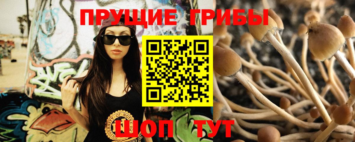 Псилоцибиновые грибы мицелий  Вход с VPN  Дедовск 