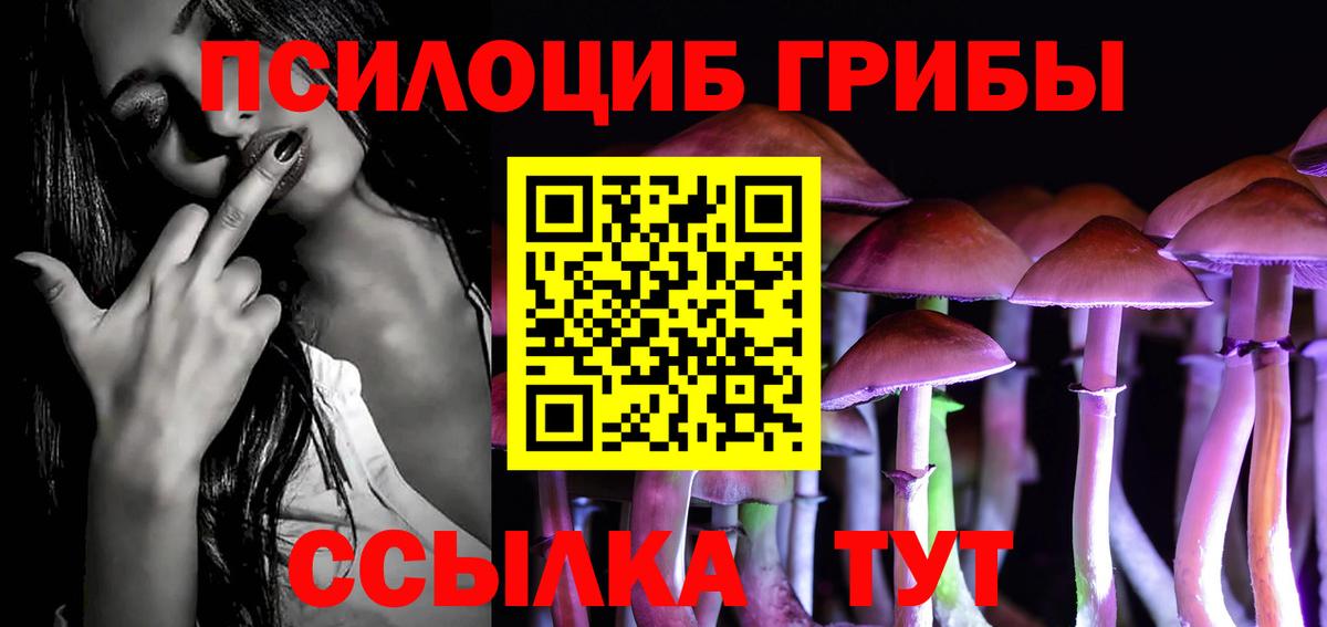 Галлюциногенные грибы Psilocybine cubensis  Дедовск  Галлюциногенные грибы ЛСД 